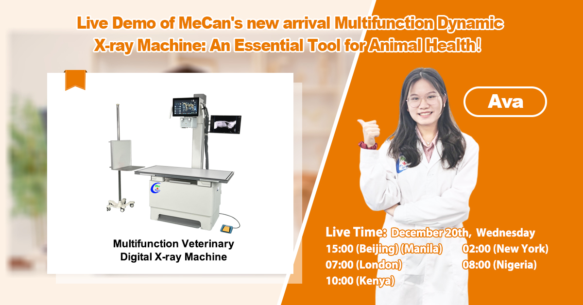 Дынамічны рэнтгенаўскі апарат з падвойным экранам у прамым эфіры | Фабрычная вітрына