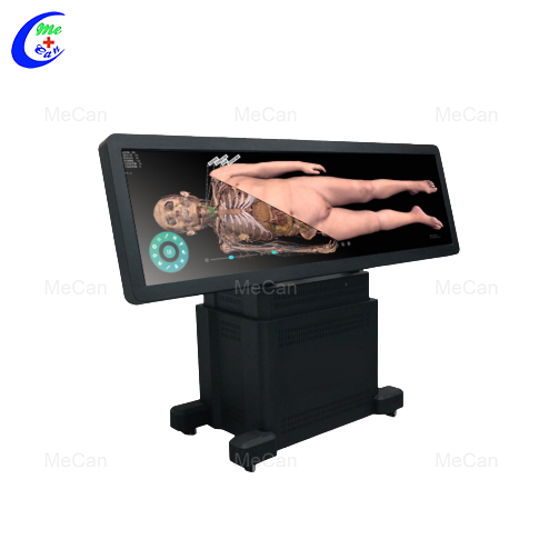 Virtuali anatomijos lentelė – revoliucinis anatomijos mokymas