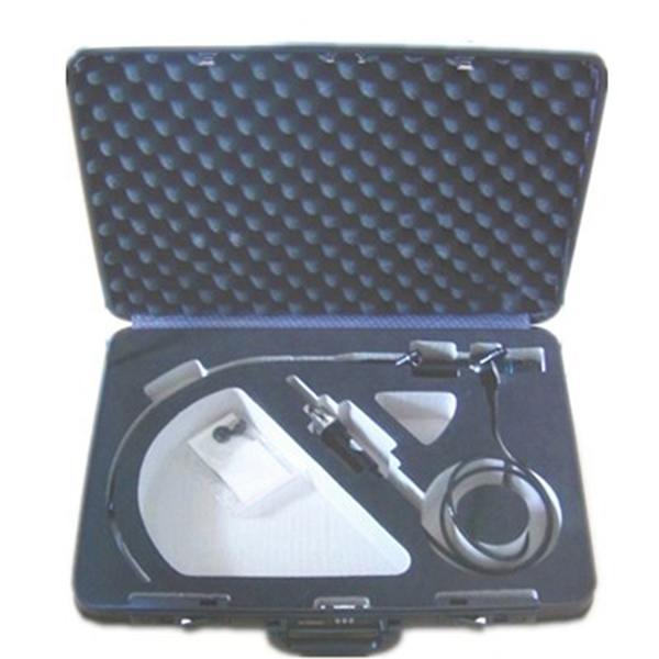 Portable ENT Endoscope