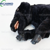Primo piano del modello di cane di peluche nero utilizzato per l'addestramento alla RCP dei cani, che mostra caratteristiche dettagliate come la bocca e la lingua aperte.