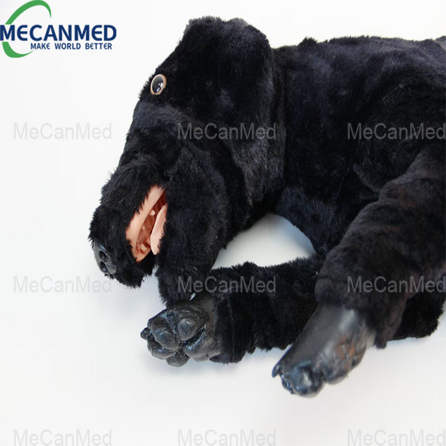 Gros plan du mod&egrave;le de chien en peluche noir utilis&eacute; pour l'entra&icirc;nement canin en RCR, montrant des caract&eacute;ristiques d&eacute;taill&eacute;es comme la bouche et la langue ouvertes.