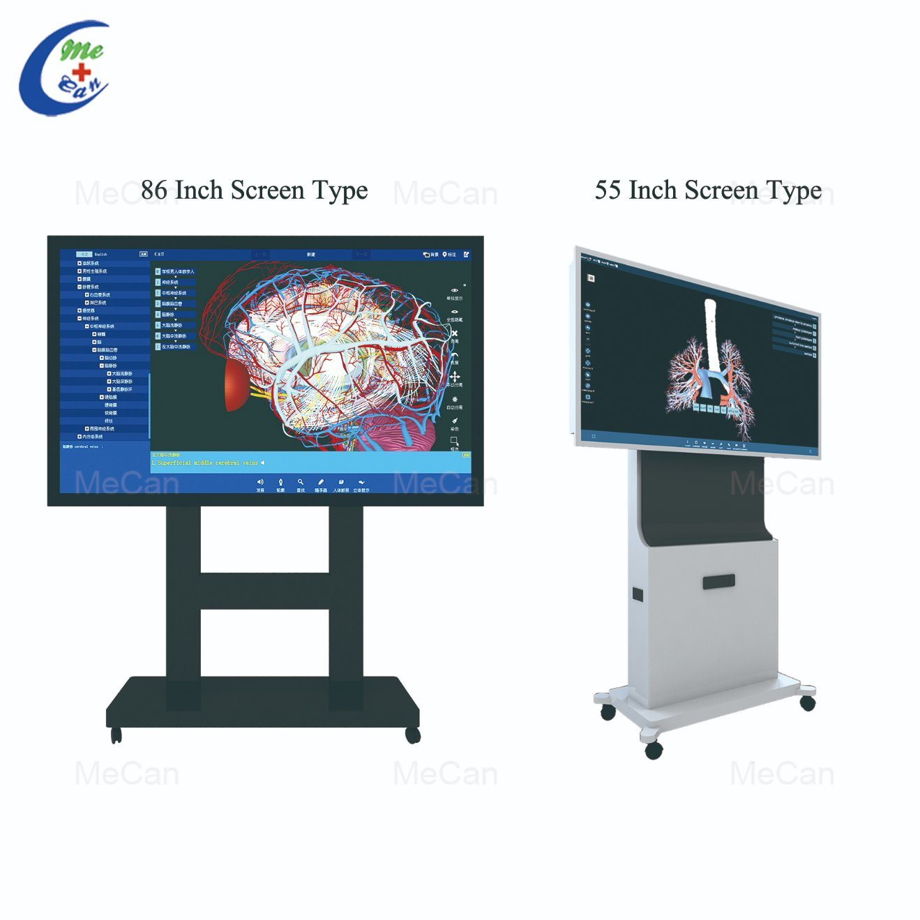 Professional 88/55 inch Touch Screen 3D Human Anatomy System For Education manufacturers