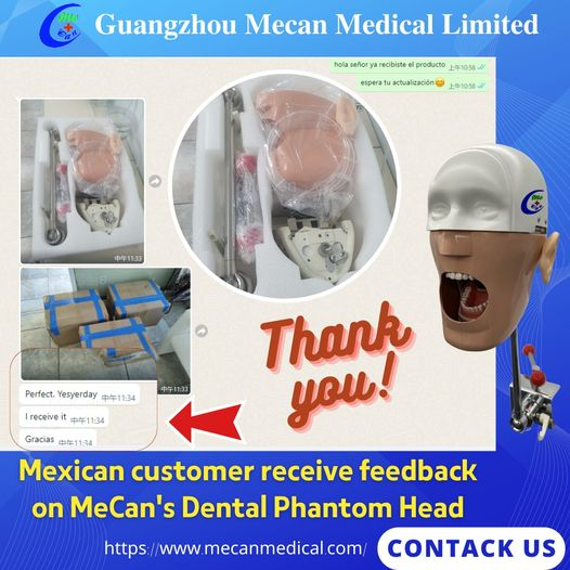 Feedback on Dental Phantom Head ពីអតិថិជនម៉ិកស៊ិក | MeCan វេជ្ជសាស្ត្រ