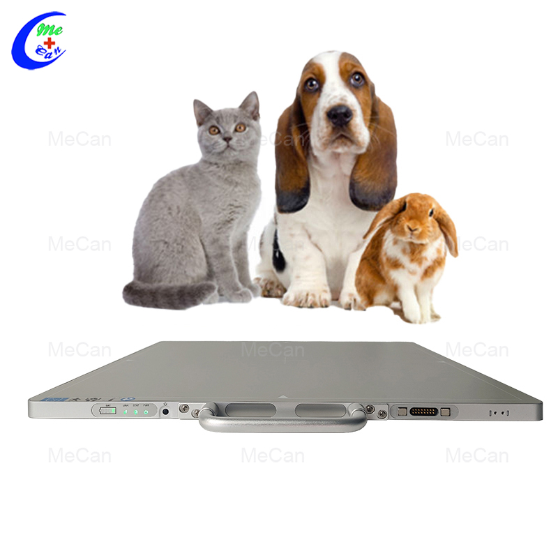China Pet Veterinary Wireless Flat Panel Detector Factory Price