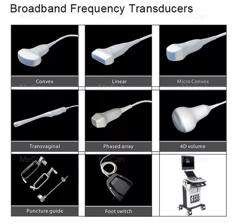 optional probves test imaging of More information of 4D Ultrasound Machine