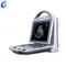 Quality Veterinary Color Doppler Ultrasound Scanner Manufacturer | MeCan Medical