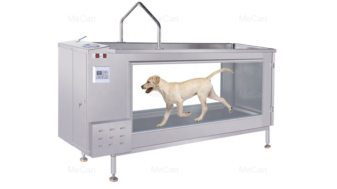 څنګه د خپل سپي لپاره وزن کم کړئ؟ | MeCan طبي