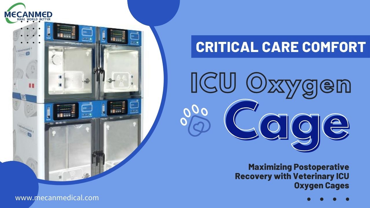 ወሳኝ እንክብካቤ ማጽናኛ፡ ከቀዶ ጥገና በኋላ ማገገምን ከፍ ማድረግ ከእንሰሳት ህክምና አይሲዩ ኦክሲጅን ኬጆች ጋር