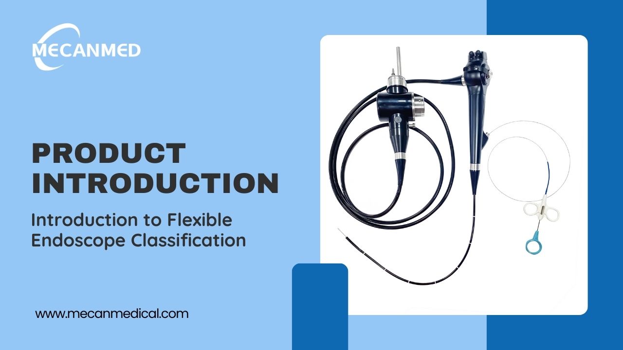 Isingeniso Se-Flexible Endoscope Classification