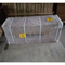 Xina Rooster Treadmill Cinta de c&oacute;rrer per a fabricants de cintes de te de gats de lluita de galls - MeCan Medical