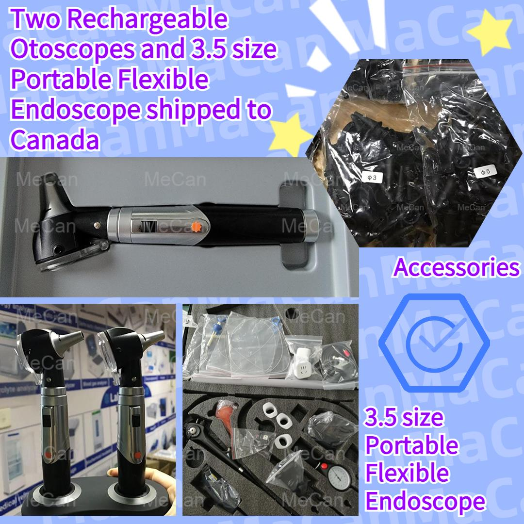 Endoskopio malgu eramangarria Kanadara bidaltzen da | MeCan Medical