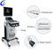 Professional Trolley 3D 4D Ultrasound Machine manufacturers MeCan Medical