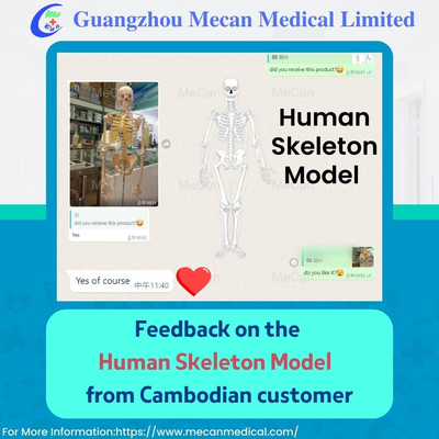 fitxategia_0 16677881999 24.jpg