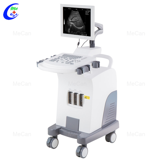 Macchina di Ultrasound di Qualit&agrave; c&ugrave; Trolley B/W Medical Digital Ultrasound Scanner Machine Manufacturer | Mecan Medical