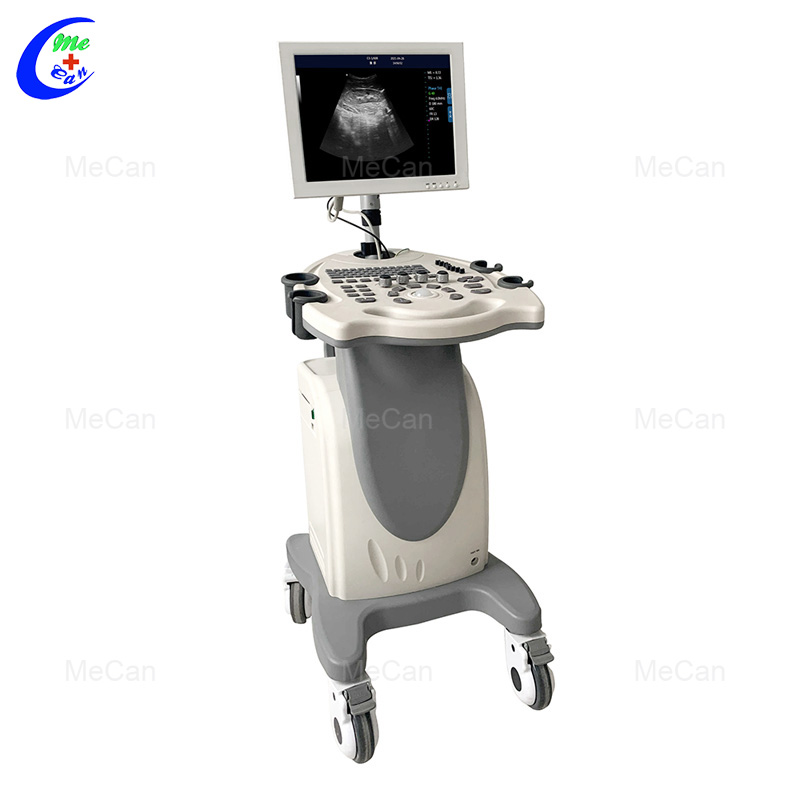 Best Hospital Medical B/W Ultrasound Machine Trolley Mobile Digital Ultrasound Scanner Machine Company - MeCan Medical