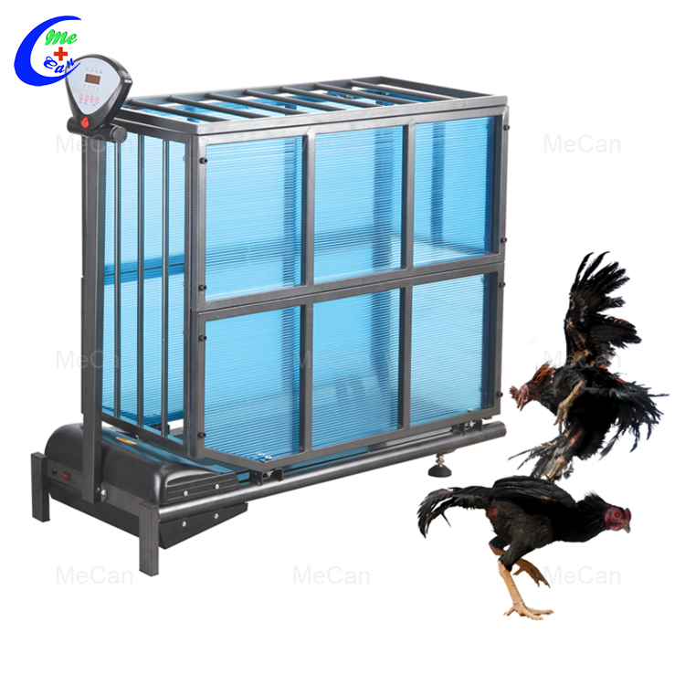 Treadmill For Cockfighting.jpg