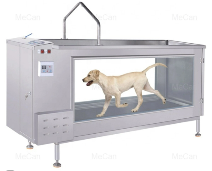 Hydrotherapy don Dogs: Fa'idodin Motsa Jiki na Ruwa